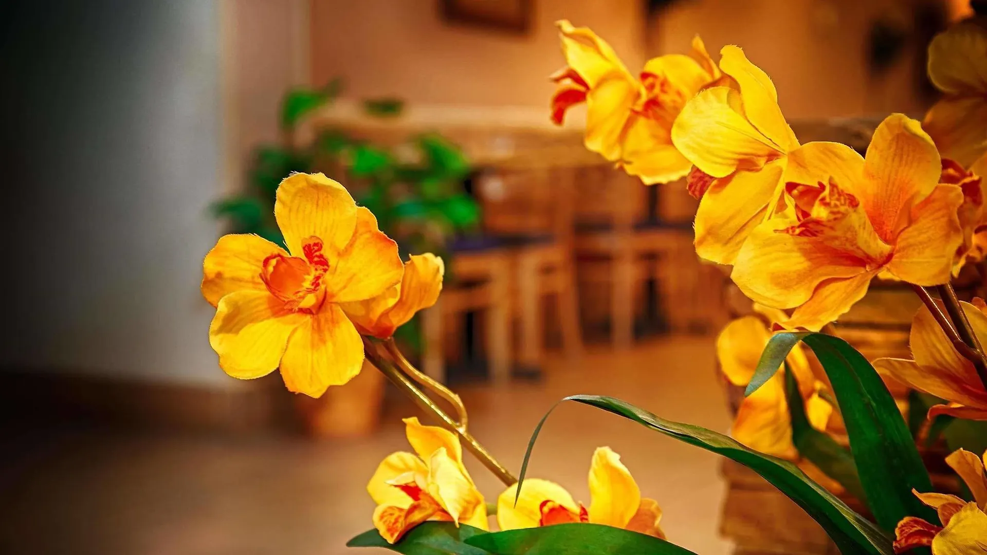 Best Western Plus North Las Vegas Inn & Suites Hotel